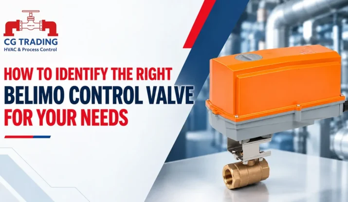 Belimo-control-valve